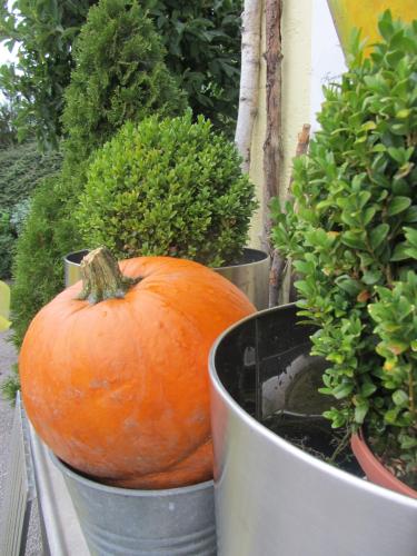 Haus Sonnenblick — Lam — photo 2