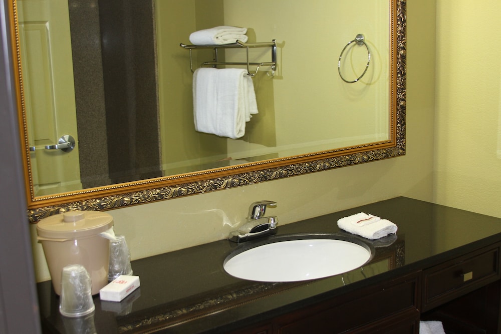 Red Roof Inn & Suites Detroit Melvindale Dearborn - photo 10