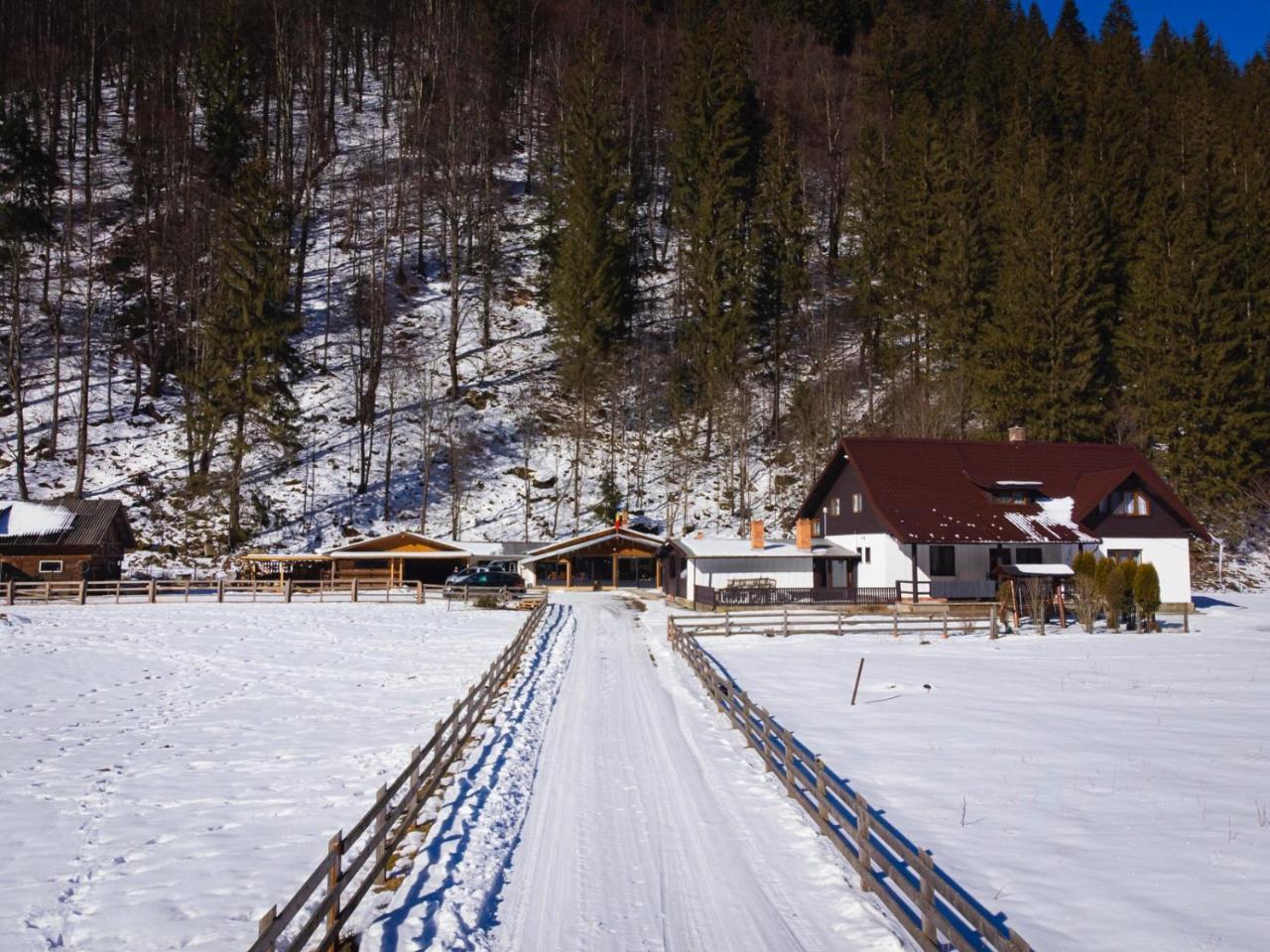 Casa Andreea — Brosteni — photo 2