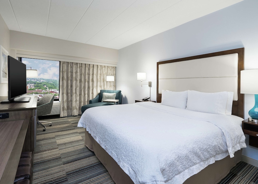 Hampton Inn Pittsburgh University Medical Center - photo 8
