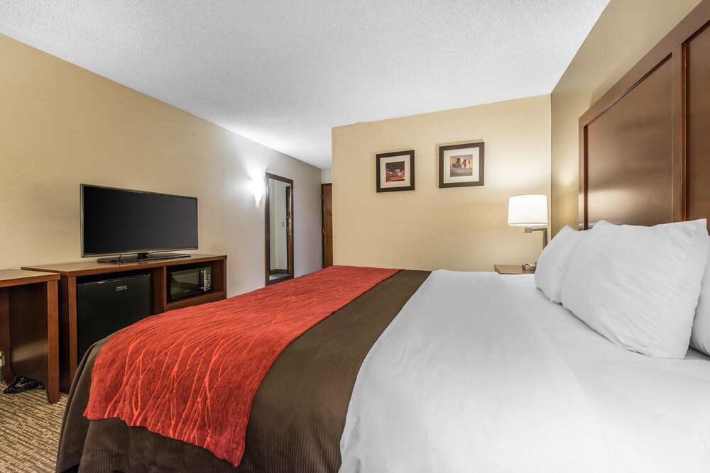 Comfort Inn & Suites Denver Northfield - photo 19