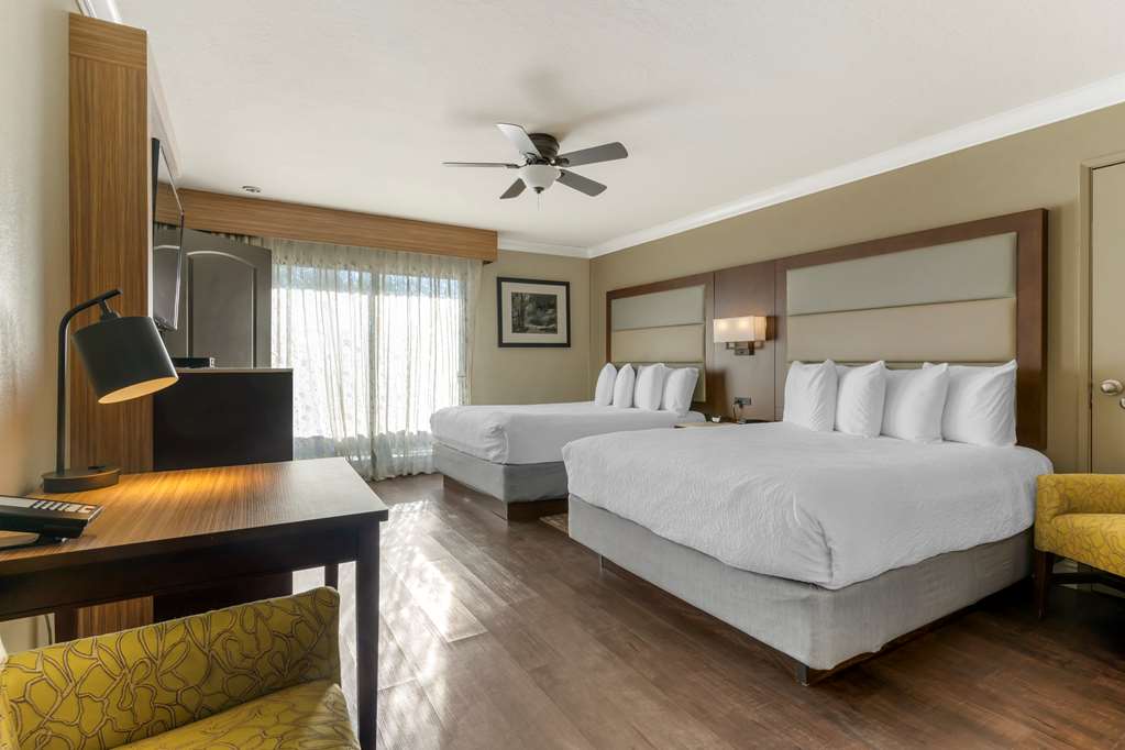 Best Western Plus Forest Park Inn - photo 28