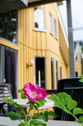 Ferienhaus Mirow 66 in Mirow, Germany