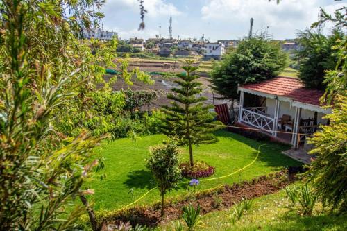 Pine View Stay Ooty — Ooty — photo 4