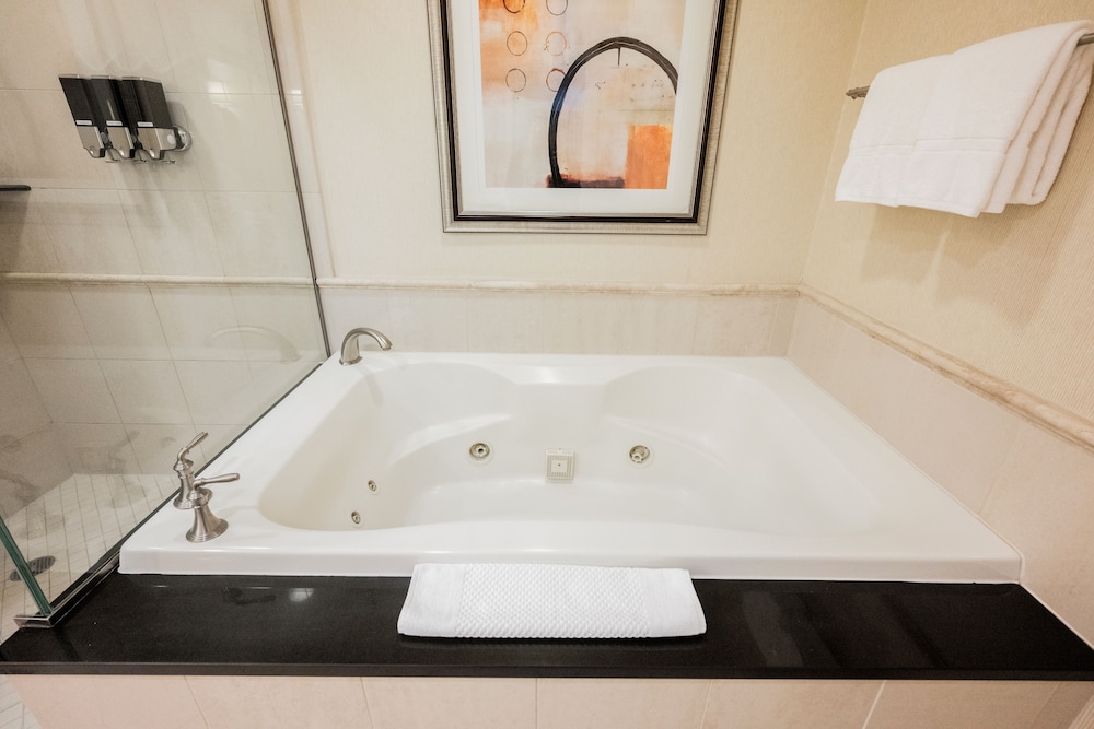 StripViewSuites at Signature - photo 212