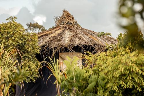 Corumbau Cura - carbon neutral hotel in Prado