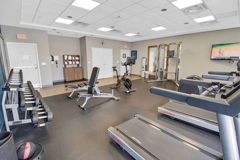 Hampton Inn & Suites Sarasota Bradenton Airport FL - photo 81