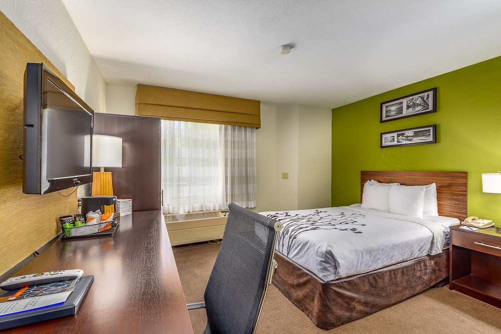 Garner Hotel Albuquerque Airport by IHG - photo 13