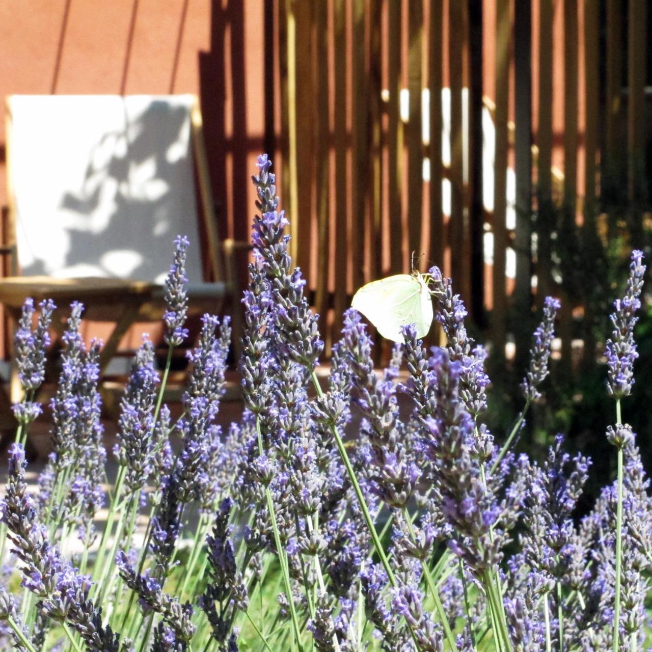 Les Pierres Sauvages — hotel in Besse-Sur-Issole