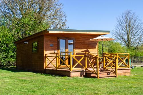 Tulip in Cherry Burton, United Kingdom