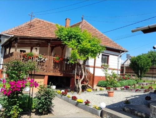Casa Teonia 17262008 — Tasnad
