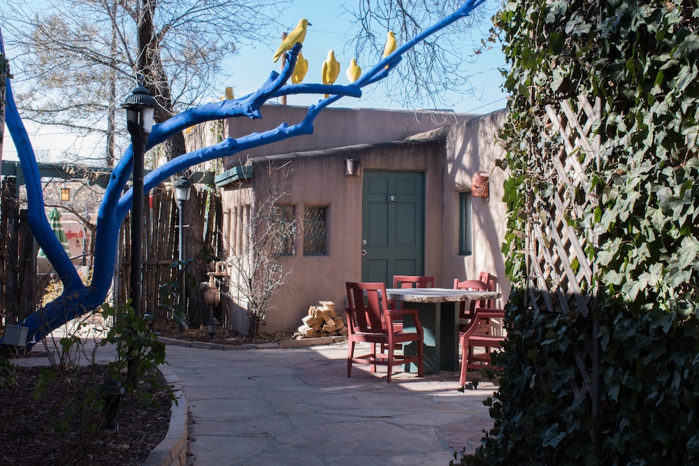 Las Palomas - photo 19