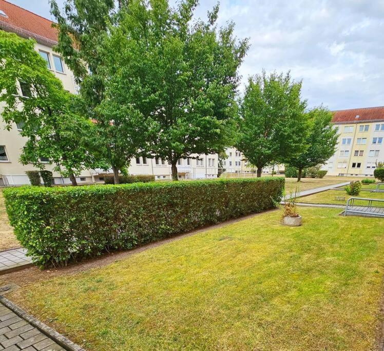 Ferienwohnung — Weissenfels — photo 3