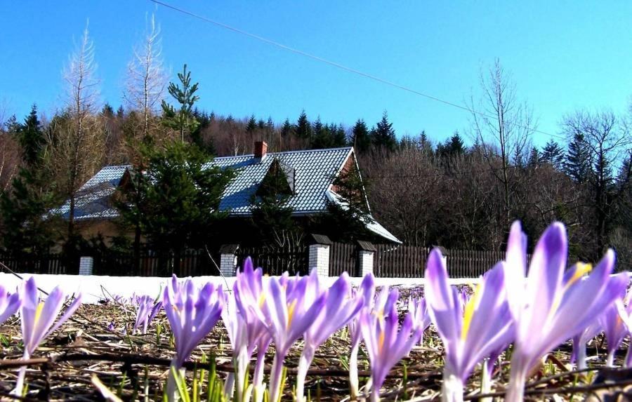 Goralska Czarcia Chata Pod Jaowcem — Stryszawa