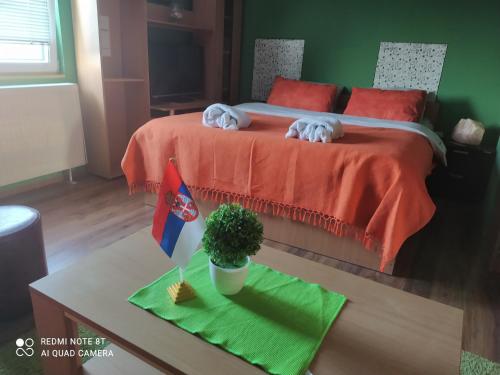 Sweet dreams in Zajecar, Serbia