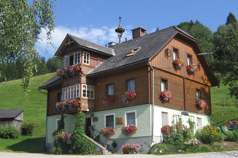 Bauernhof Ringlerhof — hotel in Michaelerberg