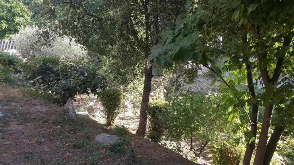 Chiapatella in Penta-Di-Casinca, France