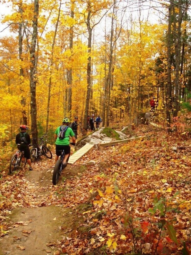 Lakewoods Resort & Lodge - photo 34