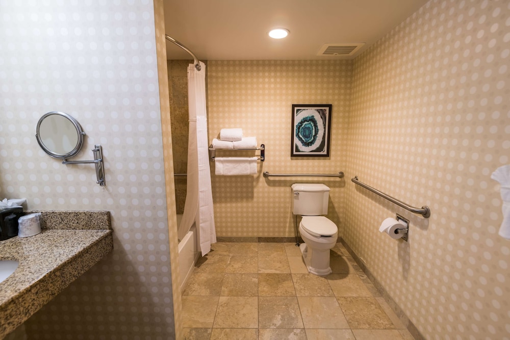Hilton Garden Inn Bowling Green - photo 43