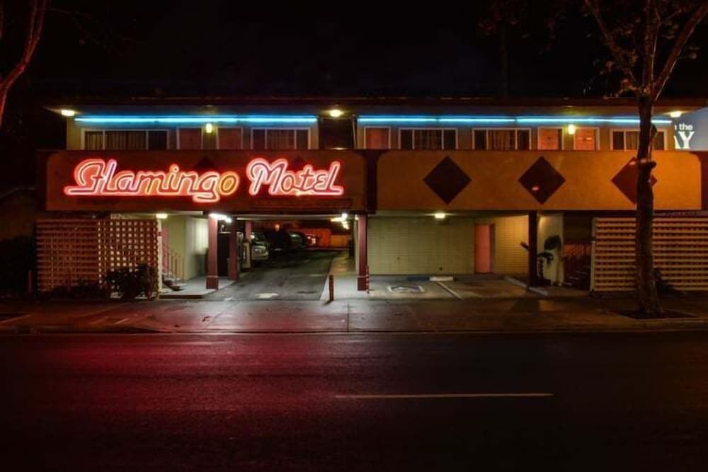 The Flamingo Motel - photo 19