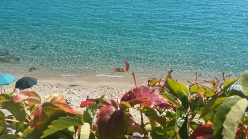 La Conchiglia — 4-Star Luxury Hotel in None, Italy