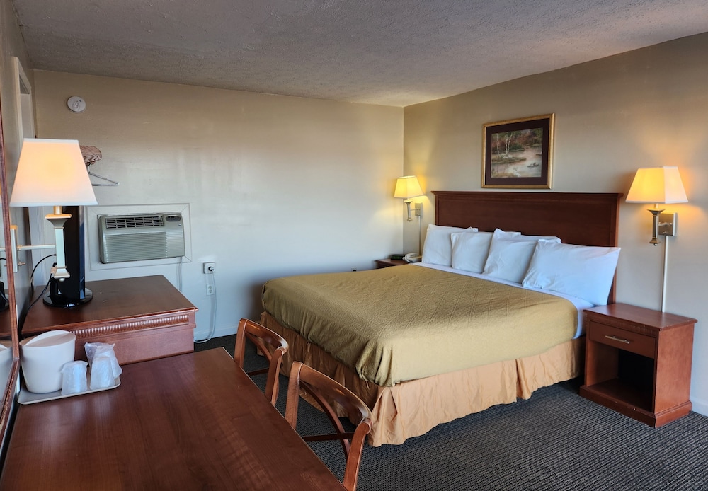 Royal Motel - photo 29