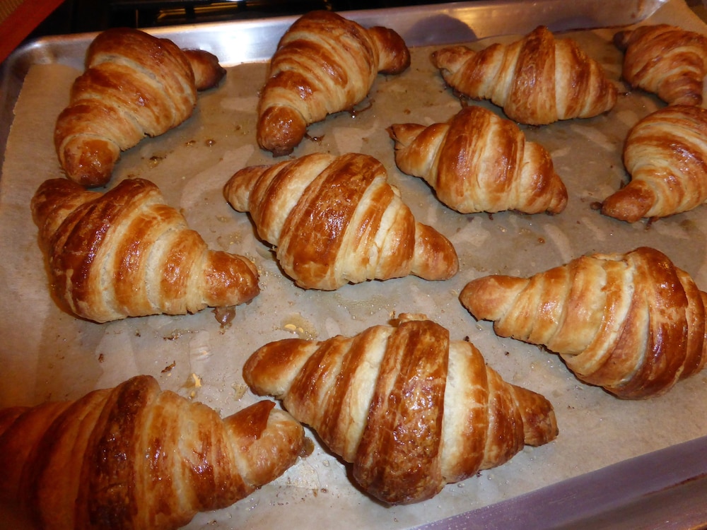 Sweet Biscuit Inn - photo 37