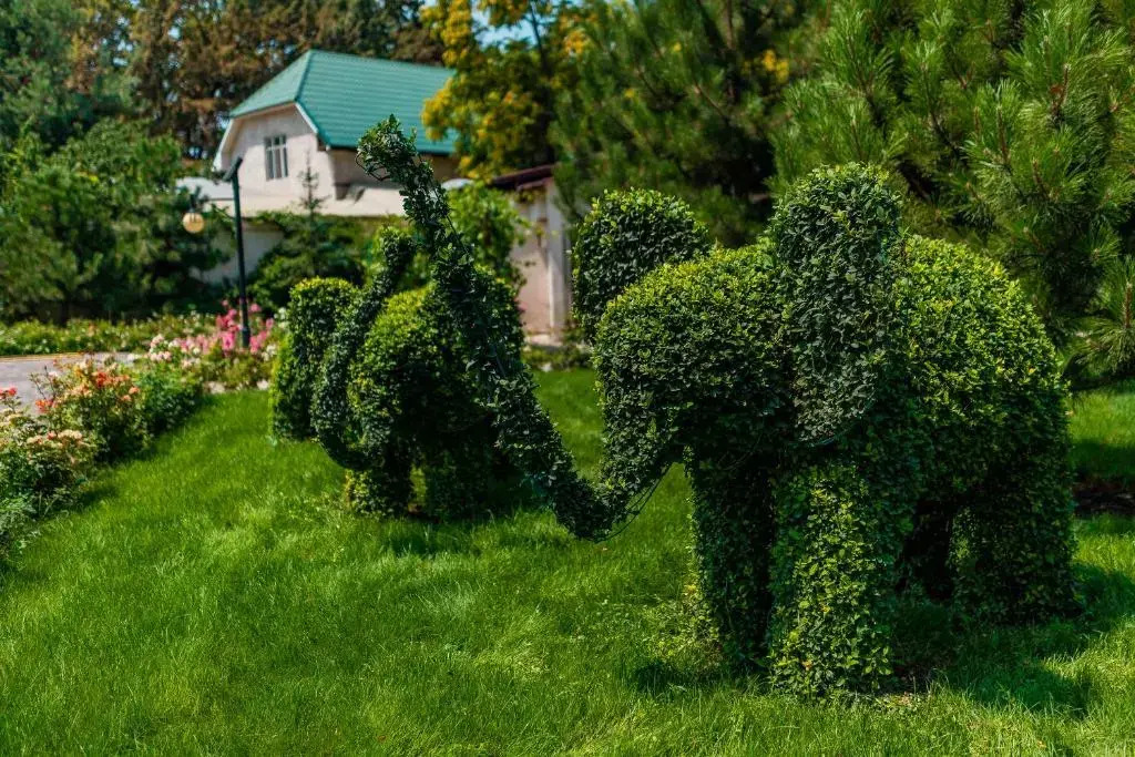 Goldendragon.Villahotel in Bishkek, Kyrgyzstan