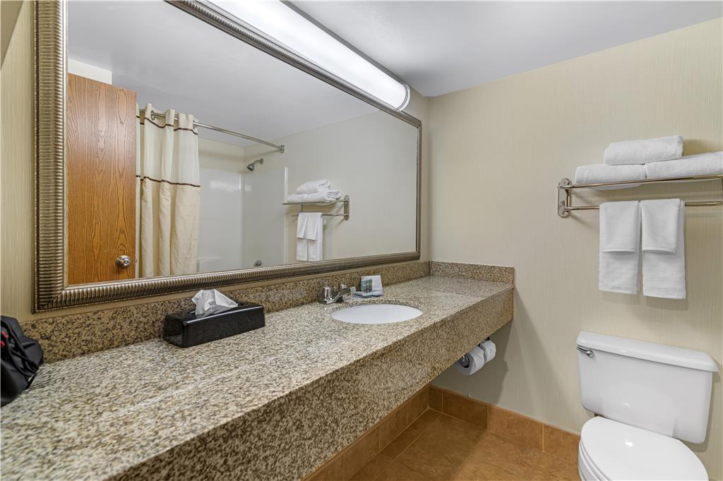 Best Western Royal Plaza Hotel & Trade Center - photo 43