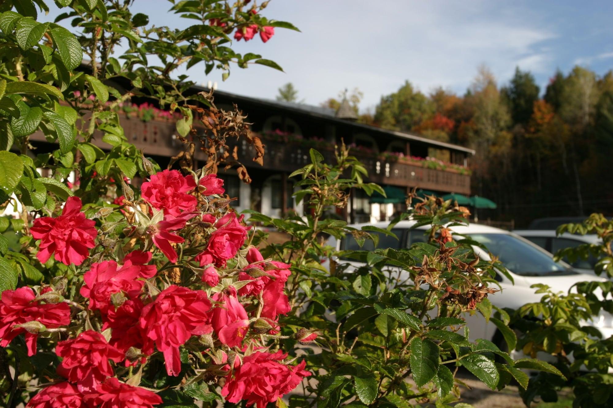 Innsbruck Inn at Stowe - photo 22
