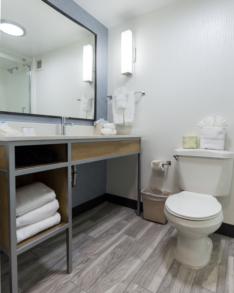 Hilton Garden Inn Atlanta Northpoint - photo 15