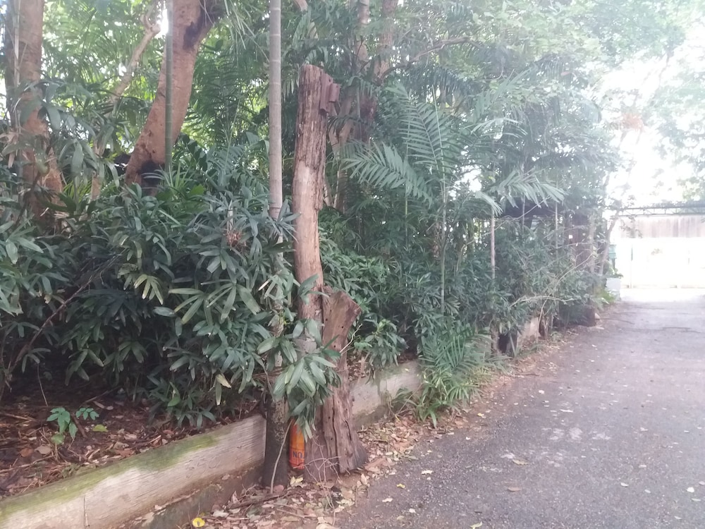 339 Hotels & Resort in Nakhon Ratchasima, Thailand