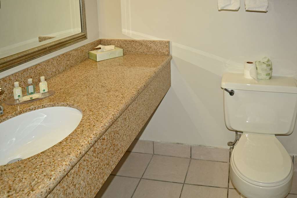 Quality Inn & Suites East Syracuse Carrier Circle - photo 24