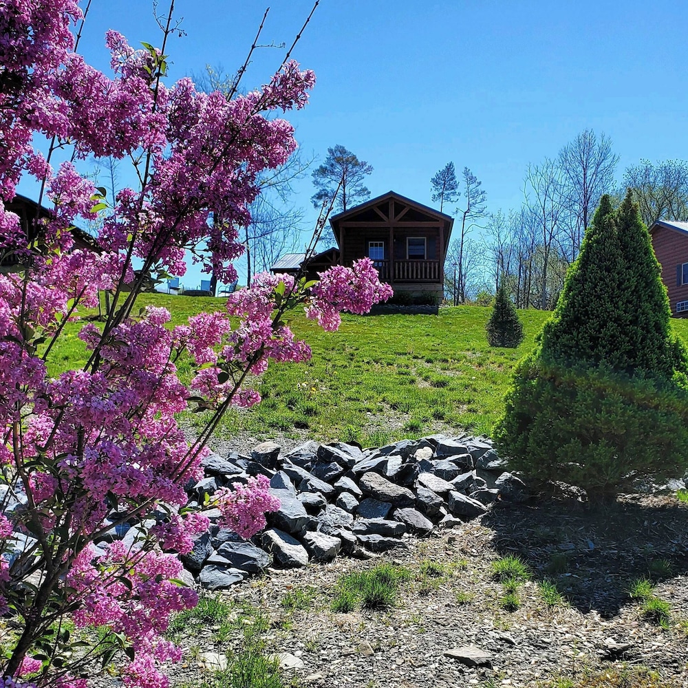 Single Island Shores - photo 45