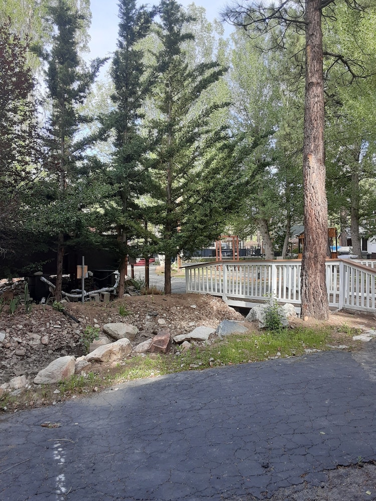 Grey Squirrel Resort - photo 177