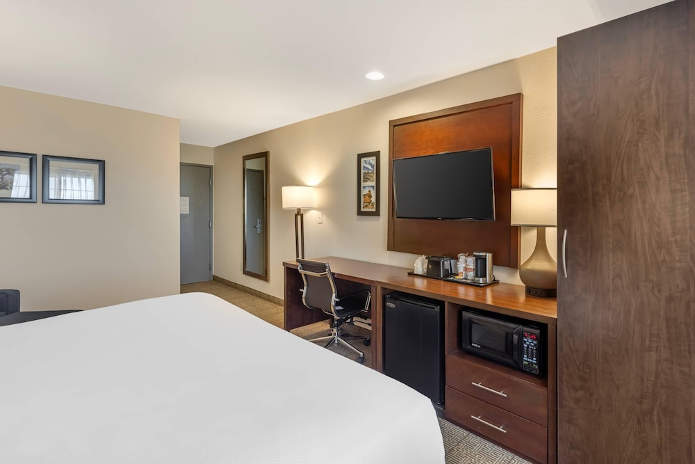 Comfort Inn & Suites Aztec Farmington Area - photo 12