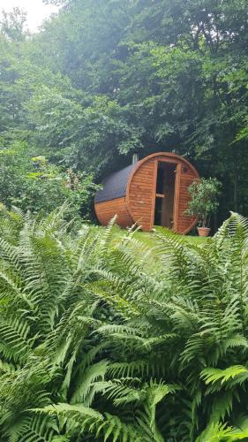4 Sterne Haus am See — Waren — photo 5