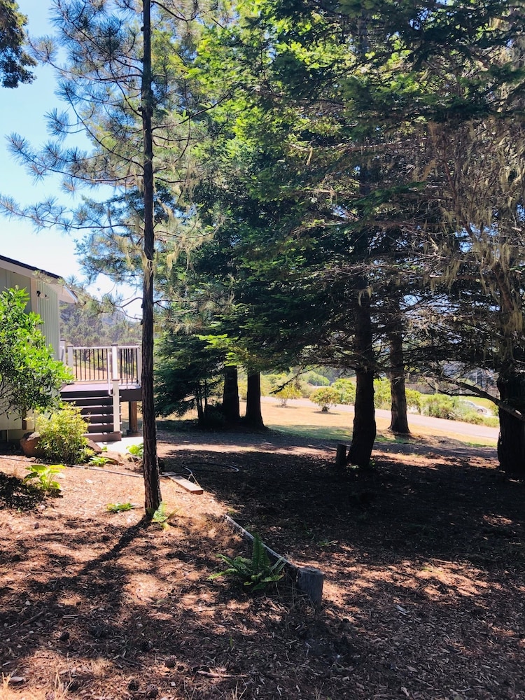 Seafoam Lodge - photo 36