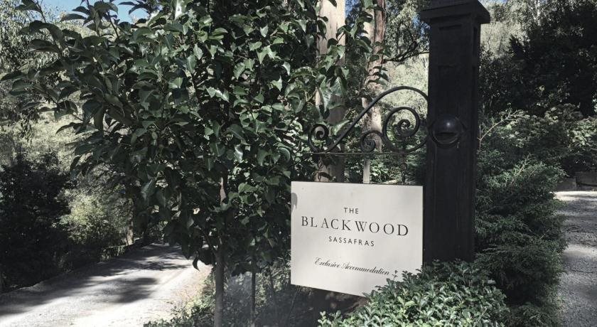 The Blackwood Sassafras — Sassafras — photo 4