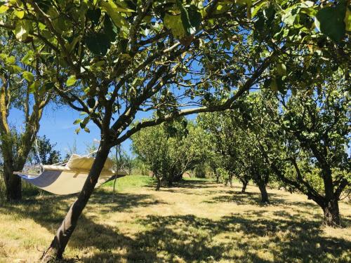 Gites Pour Grand Groupe 18 Personnes a 15 Mins du Puy du Fou in Mauleon-Licharre, France