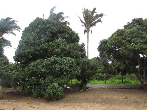 Pousada Sitio Costa Verde in Ubajara, Brasil