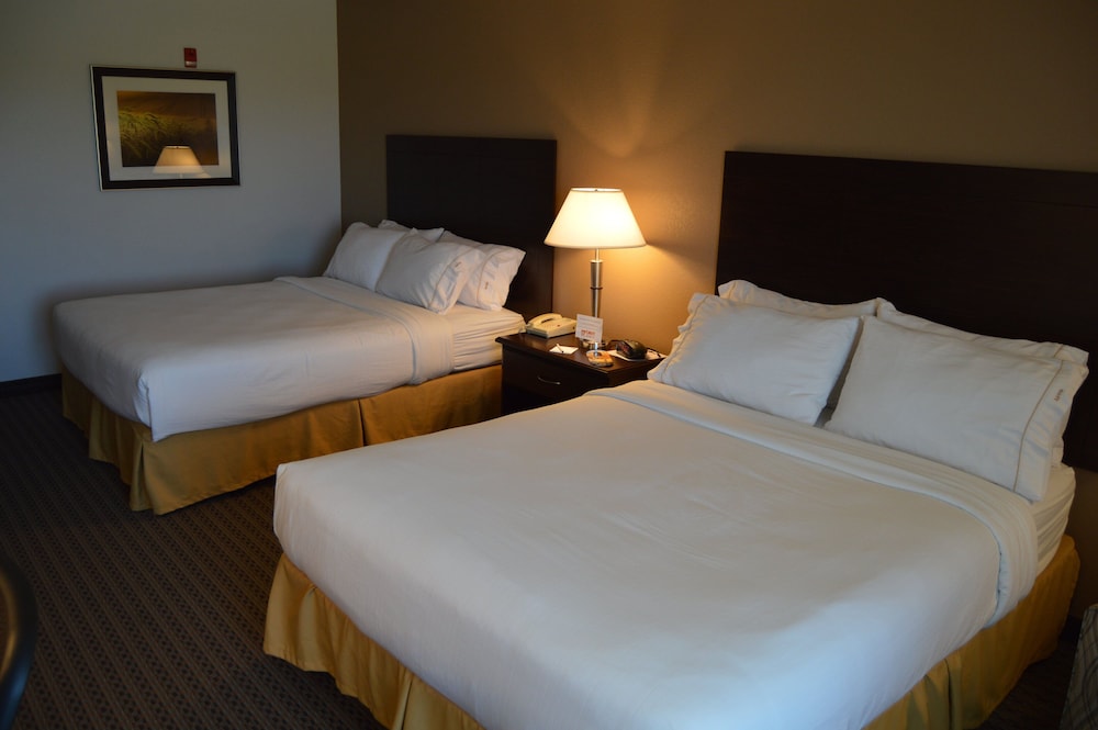 Holiday Inn Express & Suites Winner by IHG - photo 15