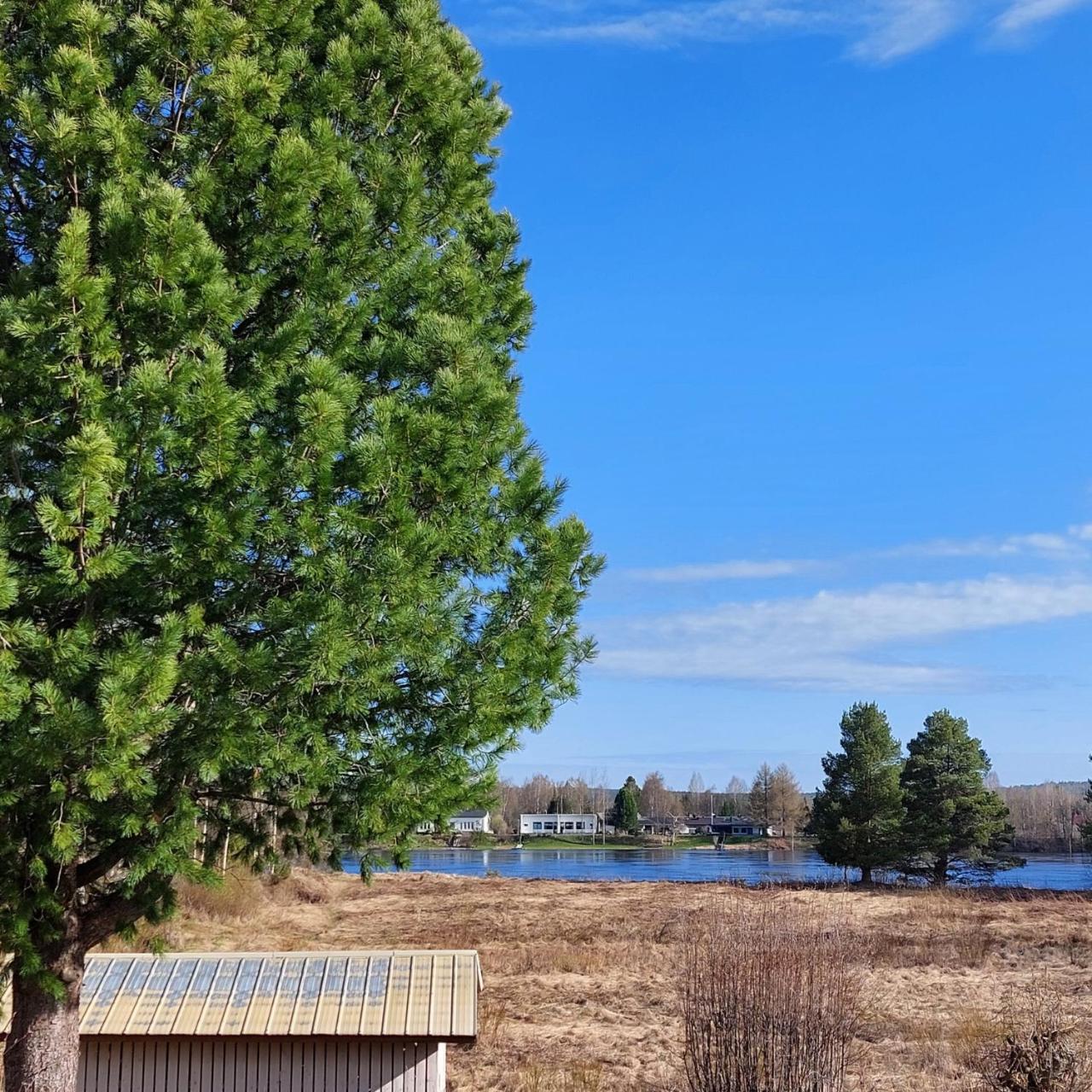 Blue River — Rovaniemi — photo 4