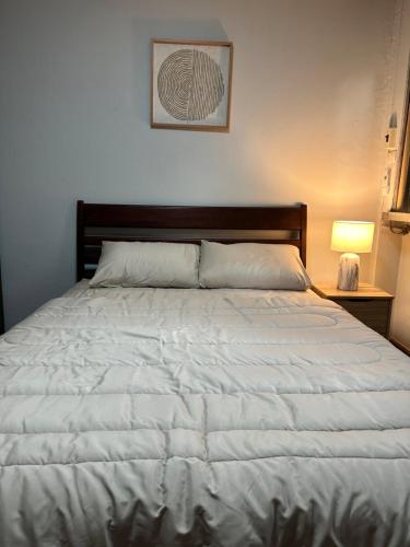 Mango Hostel 420 Friendly