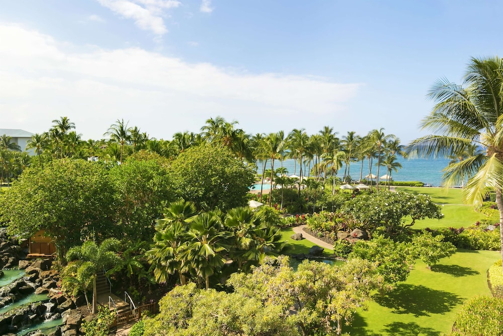 Fairmont Orchid - photo 42