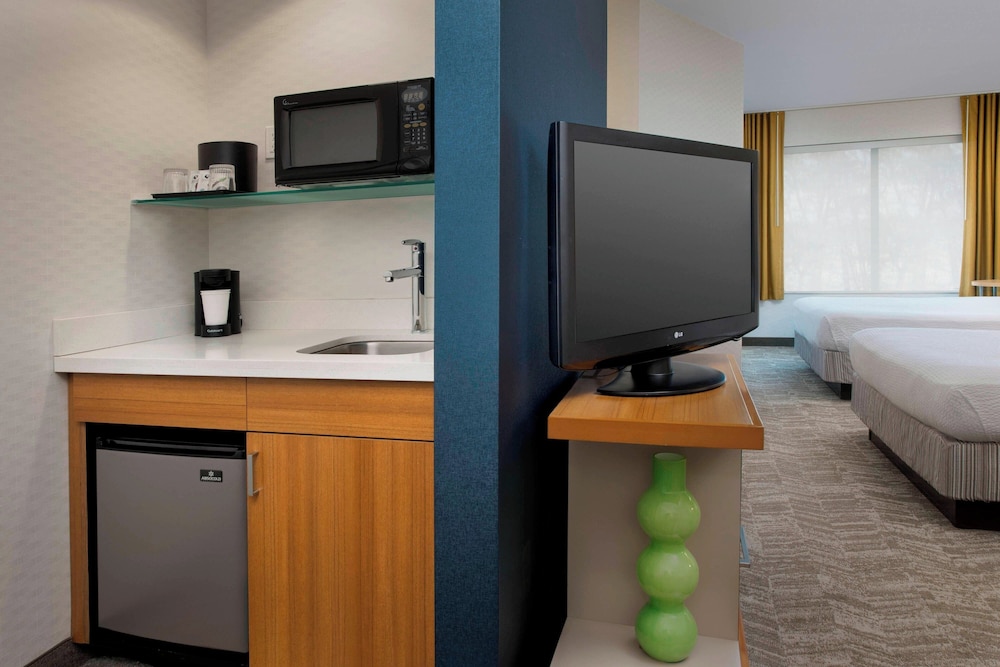 SpringHill Suites Alexandria - photo 5
