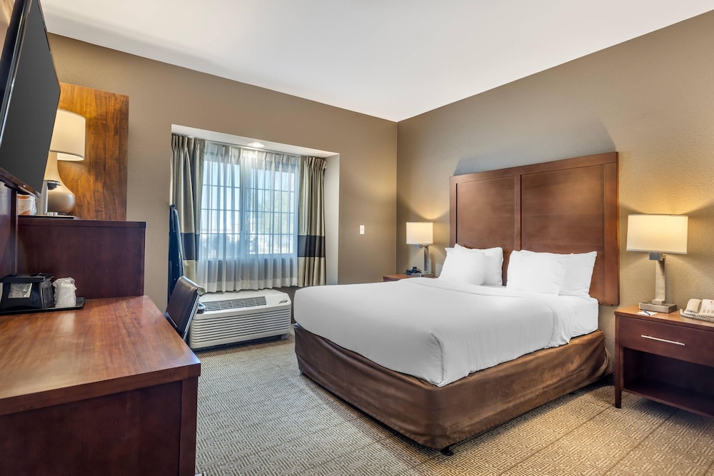 Comfort Inn & Suites Aztec Farmington Area - photo 26