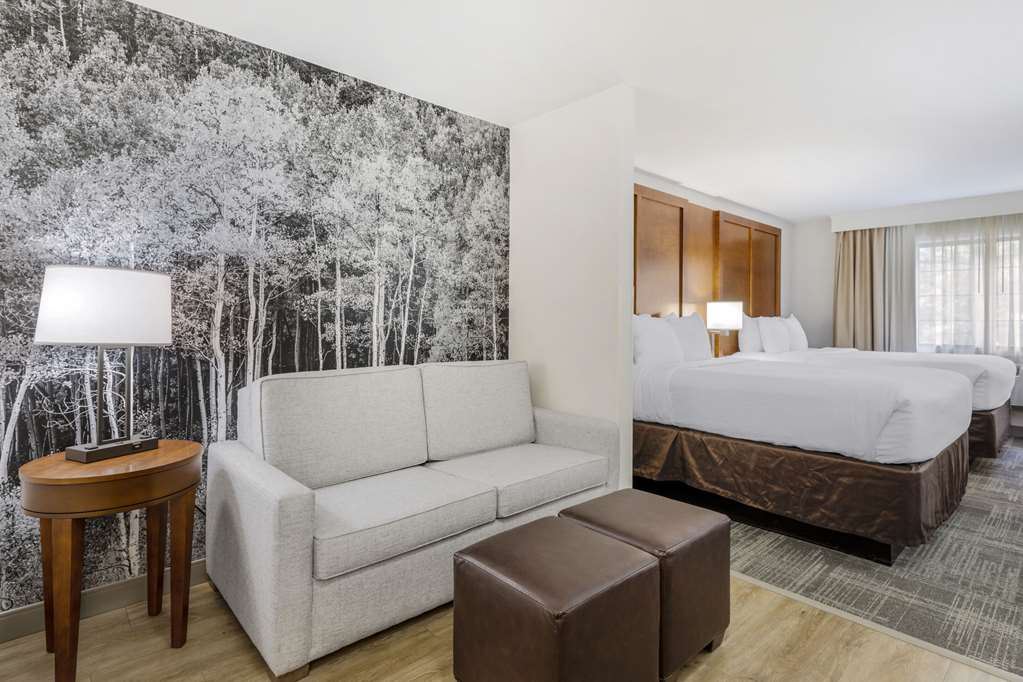 Comfort Suites Golden West on Evergreen Parkway - photo 13