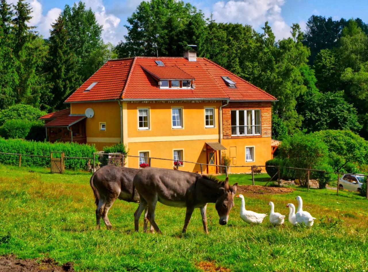 Chalupa Jenín — hotel in Dolni Dvoriste