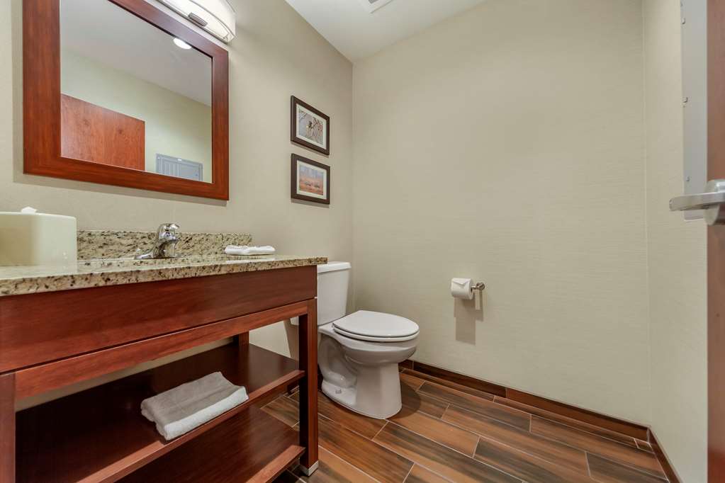Comfort Suites Grand Island South - photo 24